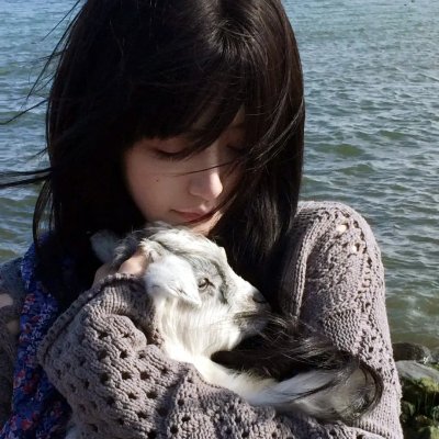 百战天龙第一季